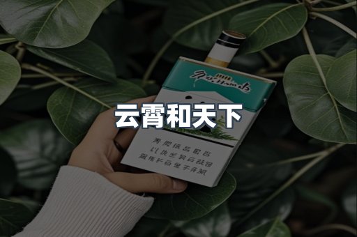 云霄和天下